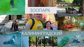Зоопарк Калининград. Экскурсия.