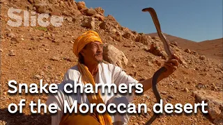 Handling the deadliest snakes of Morocco | SLICE