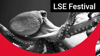 Do Octopuses Have Feelings? The Question of Animal Sentience | LSE Festival Event