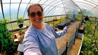 The Greenhouse Conversion is Underway!! (One More FROST!) | Gardening VLOG