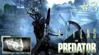 Aliens versus Predator 2010 // За чужого // Часть 3