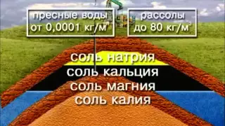 Это интересно  Основы геологии нефти и газа