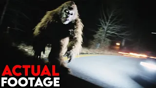 Alarming Encounter Captured on Recent Trail Cam Footage