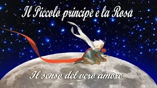 Il senso del vero amore (Il Piccolo principe e la Rosa)