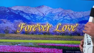 X Japanの『Forever Love 』をエアロフォンのトランペットで演奏してみた。