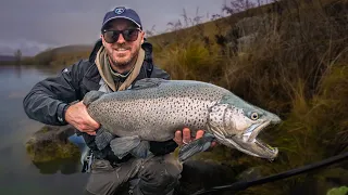 The world's biggest wild trout!