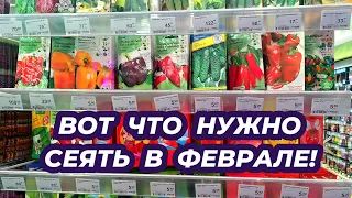 Что посеять в феврале 2024. Какие овощи сажать в феврале на рассаду