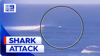 Surfer bitten by great white shark in Perth | 9 News Australia