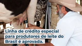 Linha de crédito especial para produtores de leite do Brasil é aprovada.