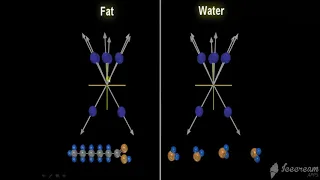 MRI Physics  Part 6 T1 ,T2 and PD اساسيات فيزياء  الرنين المغناظيسي بالعربي