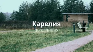 4K Дождливая Карелия. Nature video.