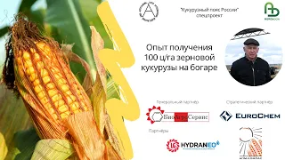 Опыт получения 100 ц/га зерновой кукурузы на богаре