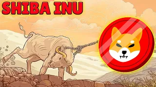 SHIBA INU НАЧИНАЕТСЯ РАЛЛИ!🚗 SHIB НЕ ВРЕМЕННАЯ ЛИ СИЛА?