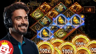 😱 UK PLAYER GETS INSANELY LUCKY ON NOLIMIT CITY'S DEAD CANARY SLOT! LOOOONG BONUS