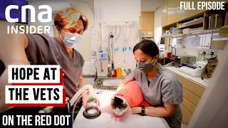 One Last Lifeline At The Vets | On The Red Dot | At The Vets - Part 5 | Full Episode