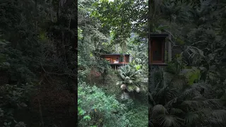 Tiny Home Jungle Villa w/ Waterfall & Beach! (60-Second Airbnb Tour)