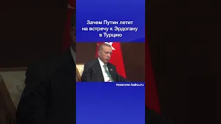 Зачем Путин летит на встречу к Эрдогану в Турцию