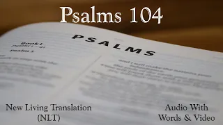 Psalms 104 - New Living Translation (NLT) Audio Bible.