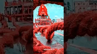 Ratha Yatra Special Status video 🙏 Jagannath RathYatra purivideo #rathyatra #jagannath @ssusanta4587