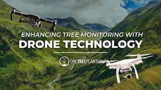 Enhancing Tree Monitoring with Drone Technology | One Tree Planted