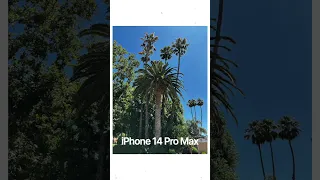 iPhone 14 Pro Max vs Galaxy S23 Ultra - Camera Test