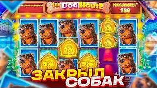 ПОЙМАЛ НЕВЕРОЯТНЫЙ ЗАНОС НА 100.000Р В DOG HOUSE MEGAWAYS | ЗАНОС НЕДЕЛИ DOG HOUSE