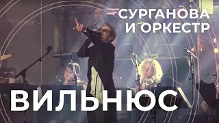 Сурганова и Оркестр. Концерт в Вильнюсе. Часть 2. (01.06.2019)
