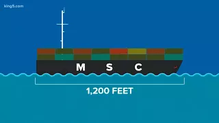How big is that giant container ship in Seattle?
