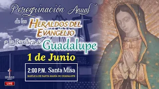 🔴MISA EN VIVO DESDE LA BASÍLICA DE GUADALUPE 01-06-2024 🔴