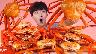 MUKBANGㅣ살아있는 홍게 10마리 내장비빔밥 뚝딱~ 리얼사운드 먹방!🦀Raw Red King Crab Korean Seafood ASMR 후니Hoony Eatingsound