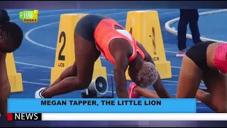 Megan Tapper, The Little Lion