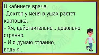 💎В Психушке Один Пациент Говорит Другому...Большой Сборник Весёлых Анекдотов, Для Супер Настроения!