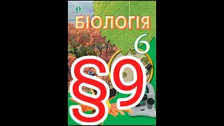 9 "Вдмінні риси будови рослинної і тваринної клітин"//6 клас Біологія//Костікова