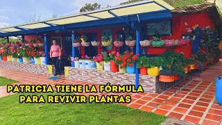 El JARDÍN de Patricia una FÁBRICA de FLORES, asombrosas y hermosas PLANTAS, mira sus SECRETOS |AP