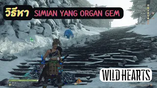 Wild Hearts : วิธีหา Simian Yang Organ Gem