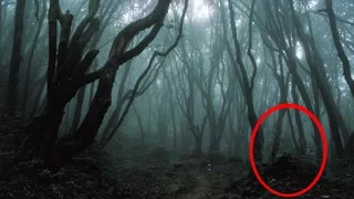 Exploring HAUNTED Forest at Night (WARNING)