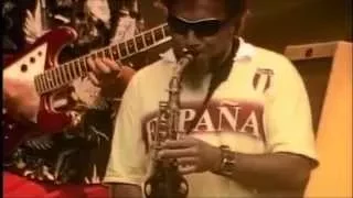 Fat Freddy's Drop - The Best Live Performance Ever [HD]