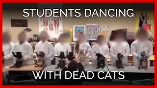 Students Dancing With Dead Cats