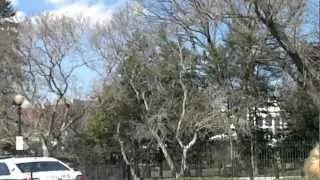 Marine One taking off from White House lawn