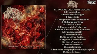 Blasted Pancreas - Pathogenic Organisms In Blood FULL ALBUM (2022 - Goregrind / Brutal Death Metal)