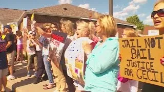 Hundreds Rally At Office Of Dentist Who Killed Cecil