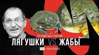 Жаба vs. лягушка. Разбираемся вместе с @ZoocomClub