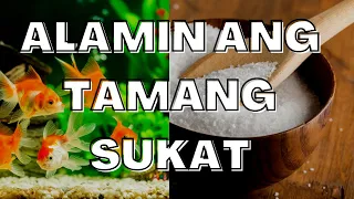 Asin Bilang Gamot ng Isdang May Sakit | Asin Para sa Freswater na Aquarium | Contest Winner