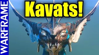 Warframe  Guide - How to Get a Kavat and Kavat Upgrade Segment [1080HD]