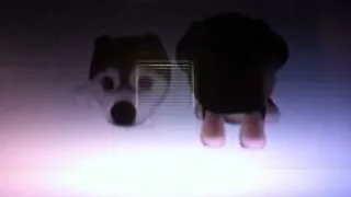 The Dog Island (PS2) Opening