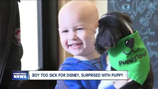 Boy too sick for Disney, surprised with puppy