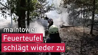 Feuerteufel schlägt wieder zu: Wald bei Heusenstamm brennt! | maintower