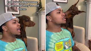 Call Your Dog's Name When They Are Next To You