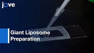 Giant Liposome Preparation For Imaging & Patch-Clamp Electrophysiology l Protocol Preview