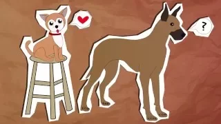 A Brief History of Dogs